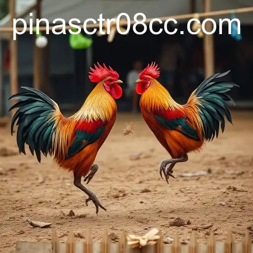 Exploring Sabong Games: A Cultural Tradition and Modern Evolution